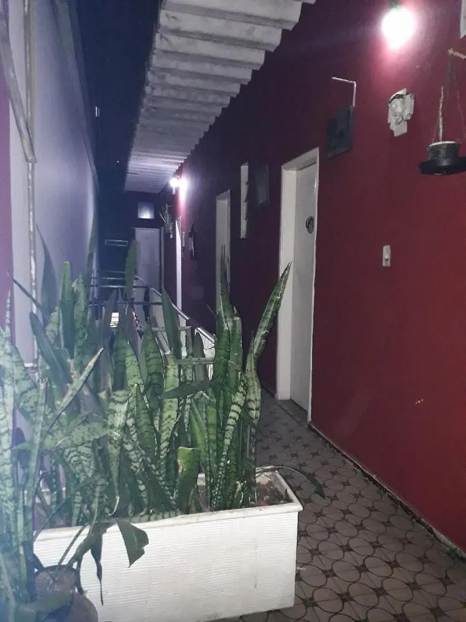 Hotel Flor Da Liberdade Sao Paulo Brazil